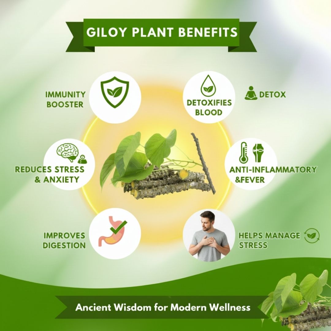 Spark Herbal Giloy Patches | FREE 30 Day Full Body Detox Guide eBook